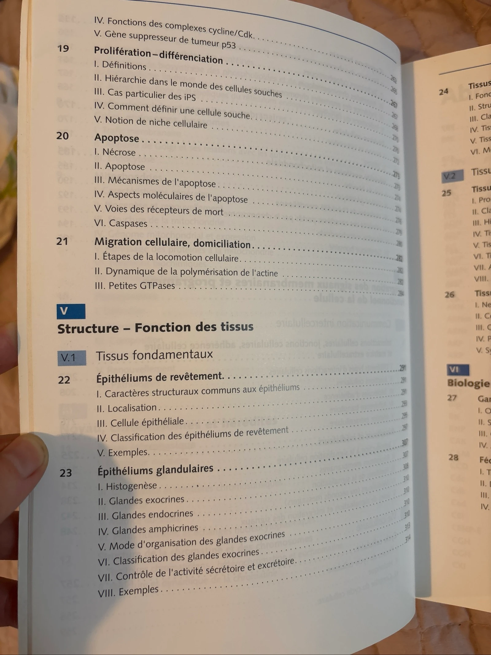 UE La célula y los tejidos – photo 6